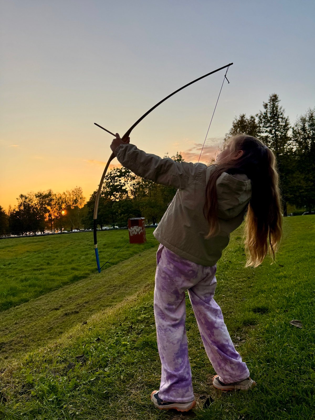 medinis lankas su strelemis