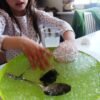 Dirbtiniai kristalai ir sniegas - kaip sensorinė žėlė