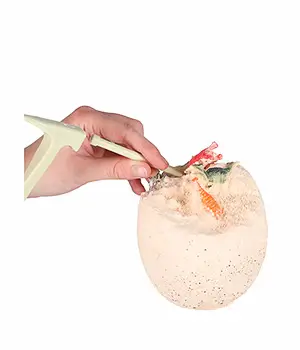 Archeologinis kasinėjimo rinkinys – Dinozauro kiaušinis